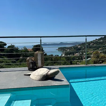 Rooftop In Lavandou, Panoramic View *